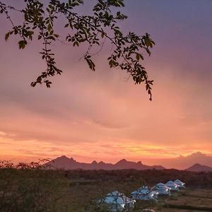 Hotel The Bagheera Bagh Jawai Bera Exterior photo