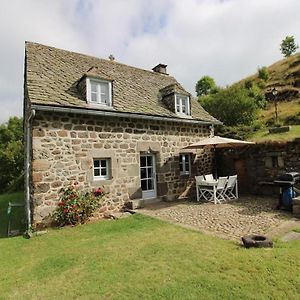 Charmante Maison Au Coeur Du Parc Des Volcans D'Auvergne, Ideale Pour 4 Pers Avec Cheminee Et Jardin - Fr-1-742-371 Villa Albepierre-Bredons Exterior photo