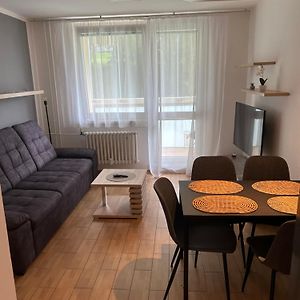 Apartamento Apartman U Areny Nmnm Nove Mesto na Morave Exterior photo