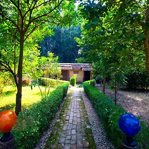 Hotel Wild Planet Eco Retreat Bardiya Exterior photo