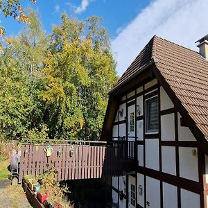 Ferienwohnung In Frankenau Exterior photo