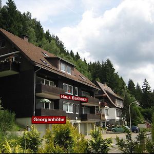 Haus Barbara - Ferienwohnung Georgenhoehe Wildemann Exterior photo