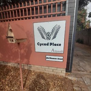 Hotel Cycad Place Polokwane Exterior photo