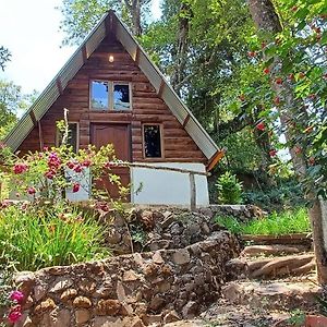 Cabanita Del Bosque De La Cumbre De San Bartolo Milpas Altas Villa Guatemala Exterior photo