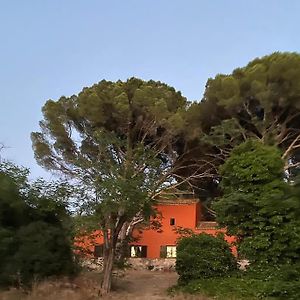 Casa En Campo Para Desconectar En Madrid Con Animales Villa Cenicientos Exterior photo