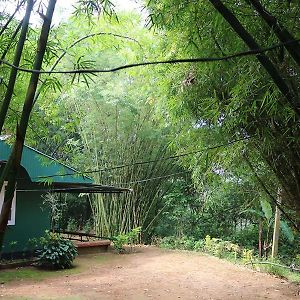 Apartamento Verdant Hillock Wayanad Exterior photo