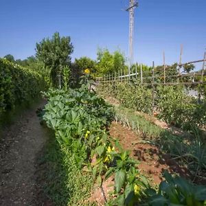 Villa With Private Pool Manacor  Exterior photo