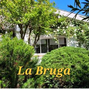 Apartamento La Bruga Saint-Vincent-de-Tyrosse Exterior photo