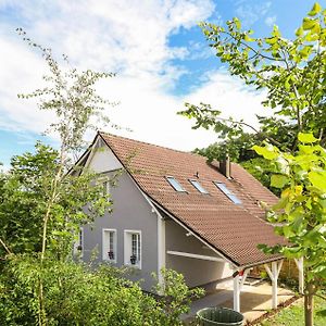 Schoenes Ferienhaus Hirtenberg Villa Exterior photo