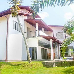 The Coconut Tree Villa Dharga Town Exterior photo