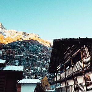 Apartamento Casalpina Cozy Chalet Gressoney-la-Trinité Exterior photo