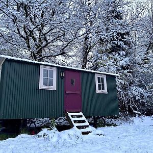 Chepstow - Cabin - Hot Tub - Pet Friendly Villa Exterior photo