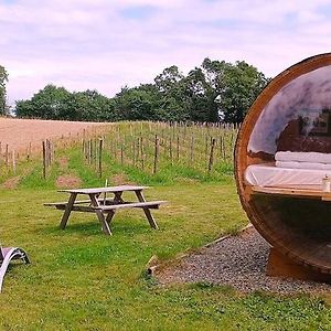 Hotel Tonneau Bulle Insolite, Vue Sur Vignoble Pouldergat Exterior photo