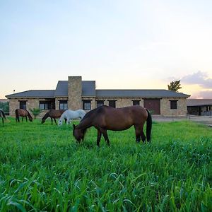 Casa Rural Ecuestre Bed and Breakfast Fuente Palmera Exterior photo