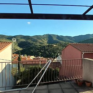 Maison Familiale Au Calme Villa Banyuls-sur-Mer Exterior photo