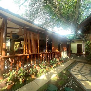 Tia Mers Guest House Puerto Princesa Exterior photo