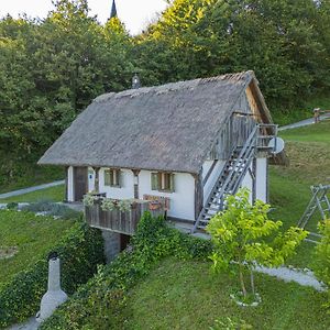 Vineyard Cottage Skatlar 2 Srednje Grcevje Exterior photo