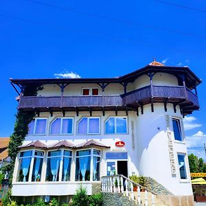 Hotel Vila Belvedere Haţeg Exterior photo