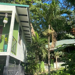 Luxury Jungle On A Budget Wisdom Bnb Bed and Breakfast Puerto Carrillo Exterior photo