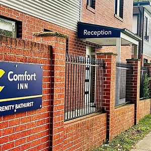 Comfort Inn Serenity Bathurst Exterior photo