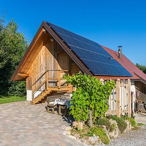 Vineyard Cottage Skatlar 3 Otočec Exterior photo