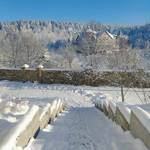 Hotel Рудий Лис Skhidnytsia Exterior photo