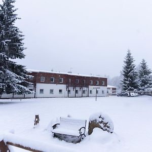 Hotel Penzion Dobík Pasečná Přední Výtoň Exterior photo