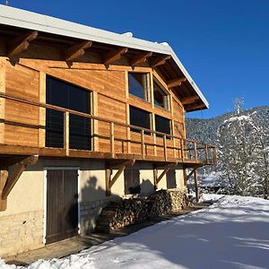 Chalet Alpin De 150M² Pour 12 Personnes Avec Billard Et Garage A Meaudre - Fr-1-737-22 Villa Exterior photo