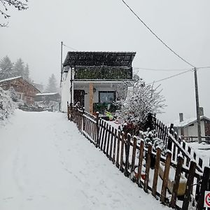 Appartamentino Al Centro Di Torgnon Exterior photo