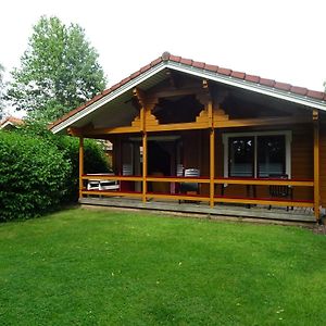 Fins Chalet Op Vakantiepark Met Zwembad Villa Gramsbergen Exterior photo