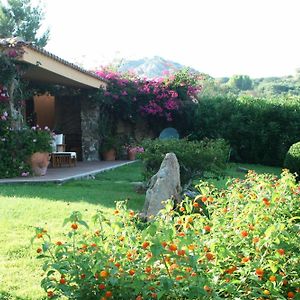 Villa Con Vista Mare Capo D Orso Palau Sardegna Exterior photo