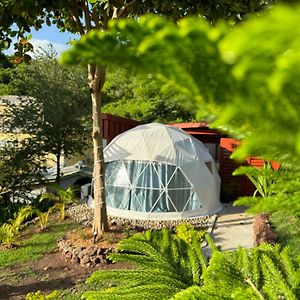 Hotel The Secret Garden - Glamping Grenada Morne Rouge Exterior photo