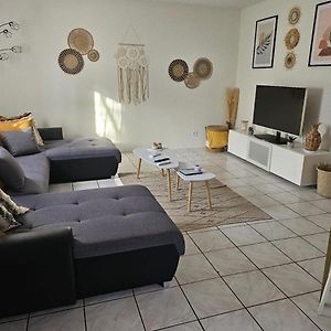 Air-Conditioned House 3 Bedrooms Bbq Terrace Toulouse Exterior photo