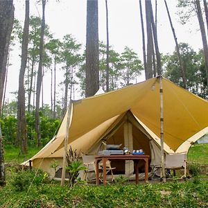 Hotel Lembah Pinus Cikole Lembang Exterior photo