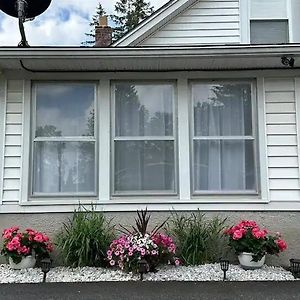 Cute Cottage Near The Track, Broadway, Spac, Golf Saratoga Springs Exterior photo