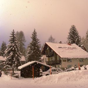 Pension Arabela Harrachov Exterior photo