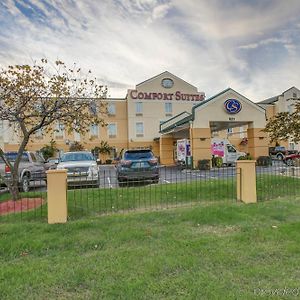 Comfort Suites At Rivergate Mall Goodlettsville Exterior photo