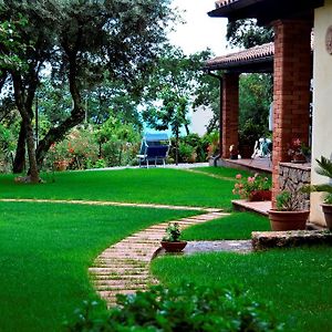 Maratea Garden House Bed and Breakfast Exterior photo