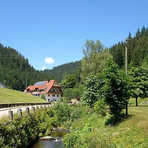 Hotel Gaestehaus Herrmann Bad Rippoldsau-Schapbach Exterior photo