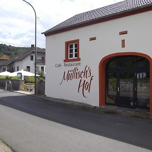 Müllisch's Hof Hotel Dohm-Lammersdorf Exterior photo