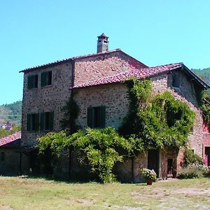 Olivo Villa Policiano Exterior photo