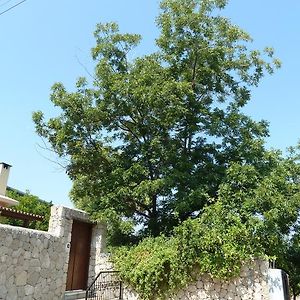 Farm House Villa Kyrenia  Exterior photo