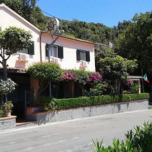 Hotel Da Zio Pino Maratea Exterior photo