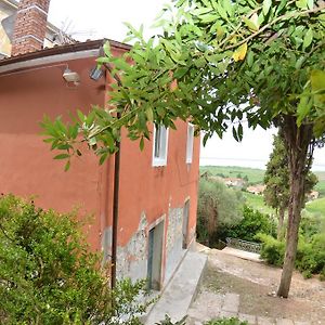 Collina Lagomare Villa Massaciuccoli Exterior photo