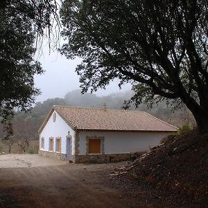 Casa Rural Las Encinas Marchena  Exterior photo
