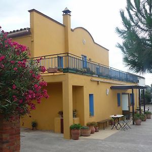 Can Selleretas Vilamacolum Exterior photo