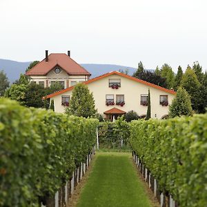 Villa Hochdorffer Gastehaus Landau in der Pfalz Exterior photo