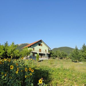 Green House Bed and Breakfast Morano Calabro Exterior photo