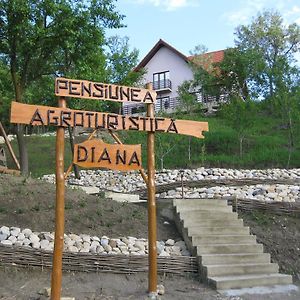 Hotel Pensiunea Agroturistica Diana Măgura Exterior photo