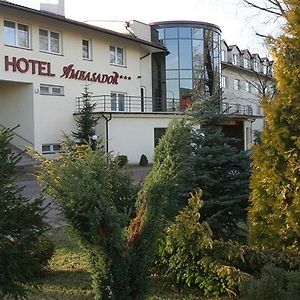 Hotel Ambasador Chojny Łódź Exterior photo
